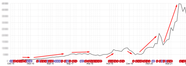 10 лет развития: от домена до сети клиник – ошибки, тактика, стратегия. Кейс продвижения сети ветеринарных клиник