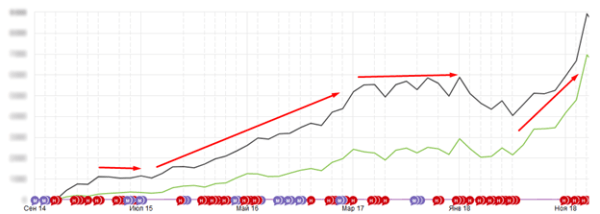 10 лет развития: от домена до сети клиник – ошибки, тактика, стратегия. Кейс продвижения сети ветеринарных клиник