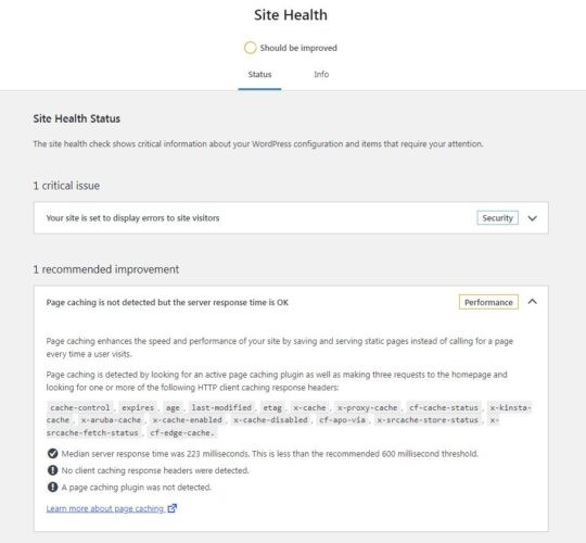 Команда производительности WordPress предложила добавить проверку постоянного объектного кэша и полностраничного кэша на страницу Site Health