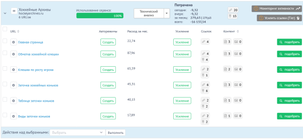 Шайбу! Шайбу! Как хоккейный фанат вывел в топ-10 инфопортал для болельщиков