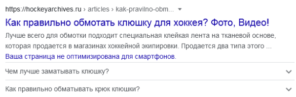 Шайбу! Шайбу! Как хоккейный фанат вывел в топ-10 инфопортал для болельщиков