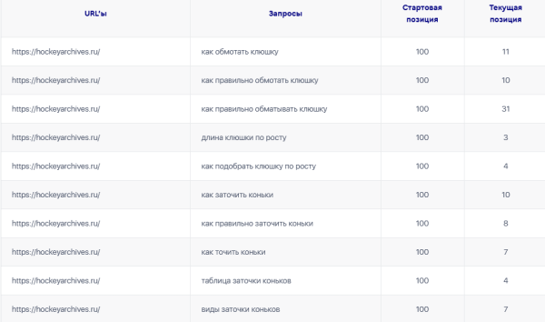 Шайбу! Шайбу! Как хоккейный фанат вывел в топ-10 инфопортал для болельщиков