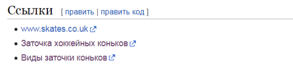 Шайбу! Шайбу! Как хоккейный фанат вывел в топ-10 инфопортал для болельщиков