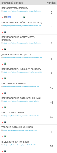 Шайбу! Шайбу! Как хоккейный фанат вывел в топ-10 инфопортал для болельщиков