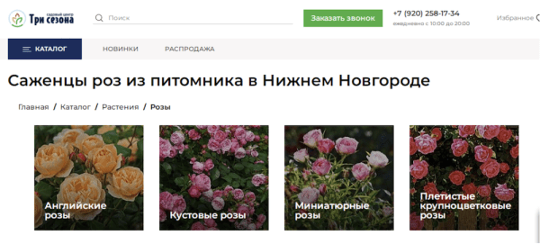 Трафик по осени считают. Как продвигать сезонные товары, чтобы помочь продажам
Трафик по осени считают. Как продвигать сезонные товары, чтобы помочь продажам