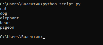Циклы Python: объясняем для начинающих и детей Циклы Python: объясняем для начинающих и детей