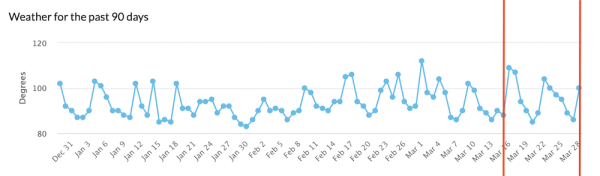 
            Google завершил мартовское обновление основного алгоритма
        