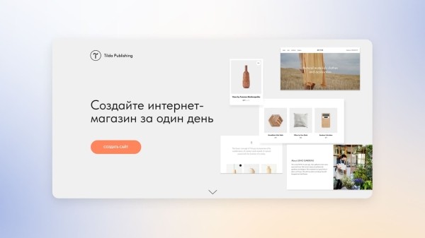 
            Как принимать криптовалютные платежи в интернет-магазине на Tilda
        