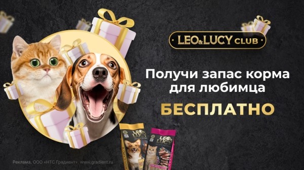 Как за месяц снизить стоимость заявок в среднем в пять раз и увеличить продажи по промокодам на 17%. Кейс