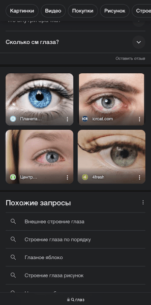 Google начал показывать в выдаче по картинкам заголовки страниц
         
            Google начал показывать в выдаче по картинкам заголовки страниц