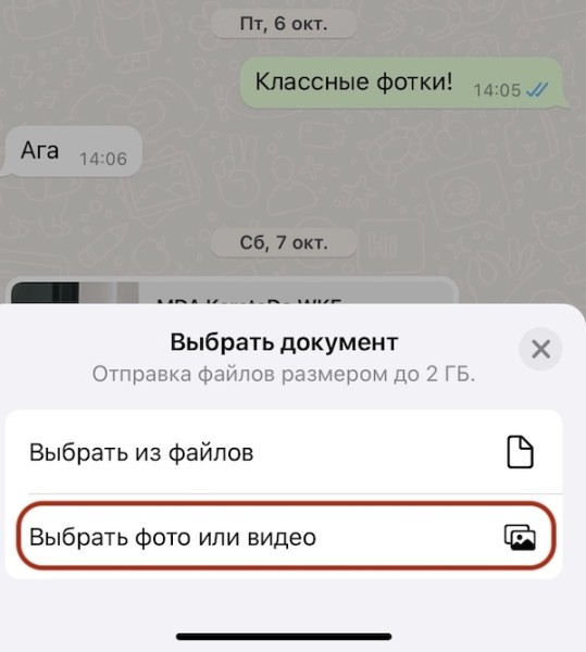 WhatsApp реализует возможность отправки мультимедиа без потери качества
WhatsApp реализует возможность отправки мультимедиа без потери качества
