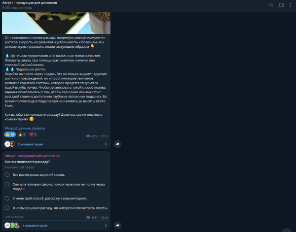 Опросы в Telegram: как сделать и для чего они нужны бизнесу