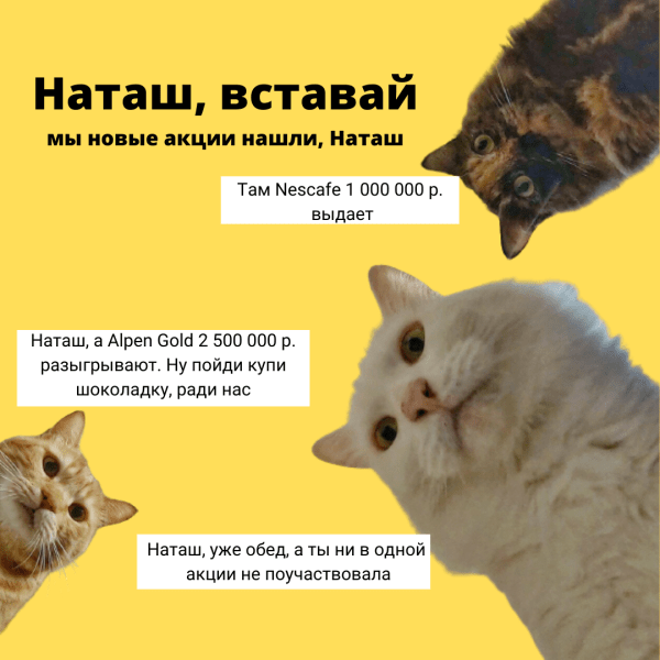 CTR и сниппеты: как повысить кликабельность сайта и привлечь новых пользователей